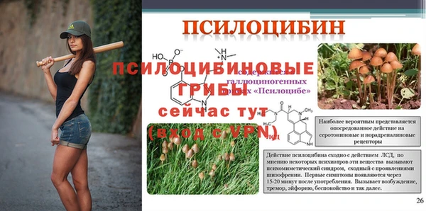 jwh Елабуга