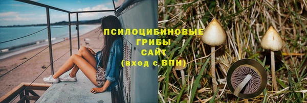apvp Алексеевка