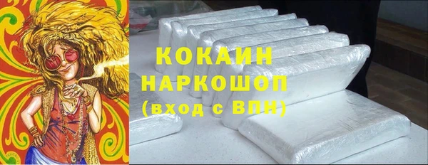 гашик Алзамай