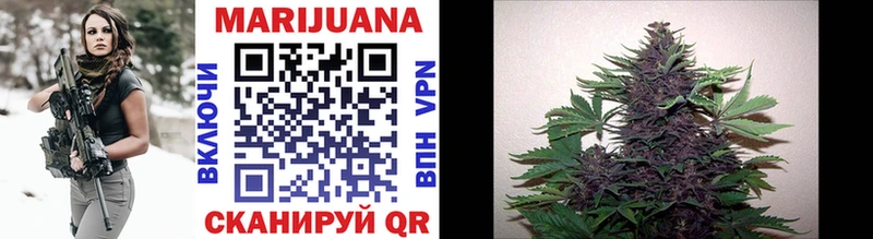 Марихуана гибрид omg сайт darknet официальный сайт Лысьва